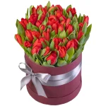 Бокс из 51 красного тюльпана